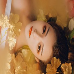 WWW一起草：数字时代的创新平台与未来趋势